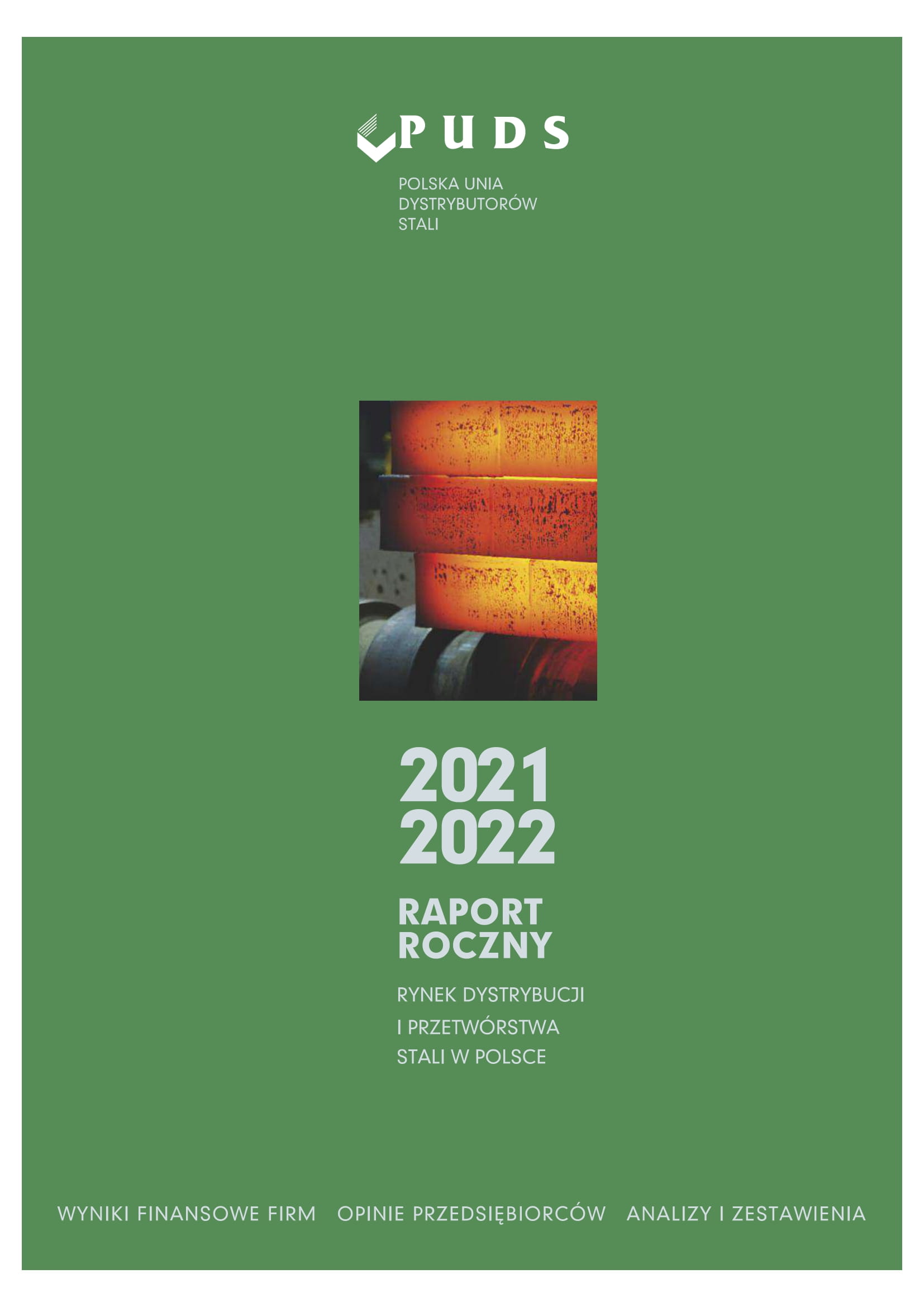 Raport Roczny 2021 2022